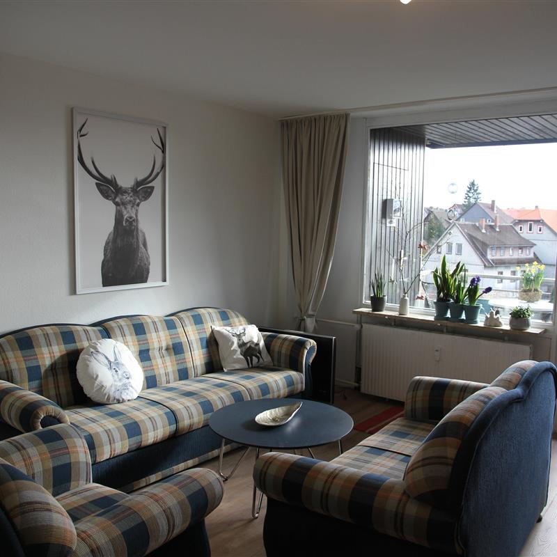 Ferielejlighed - 4 personer -  - Am Kurpark - 37444 - Sankt Andreasberg