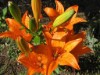 Bild 22