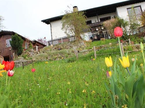 Holiday Home/Apartment - 4 persons -  - Hopfengartenweg - 94065 - Waldkirchen