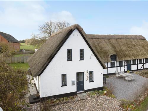 Vakantiehuis - 6 personen -  - Halevejen - Ristinge - 5932 - Humble
