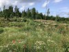 Bilde 8 - Ude