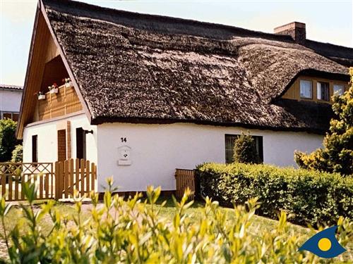 Ferielejlighed - 3 personer -  - Nebenstrasse - 17459 - Ückeritz