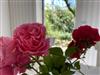 Bild 26 - Innen