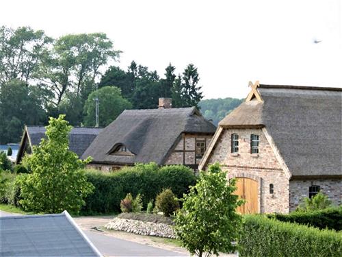 Ferieleilighet - 2 personer -  - Zehlen - 18528 - Bergen Auf Rügen / Thesen