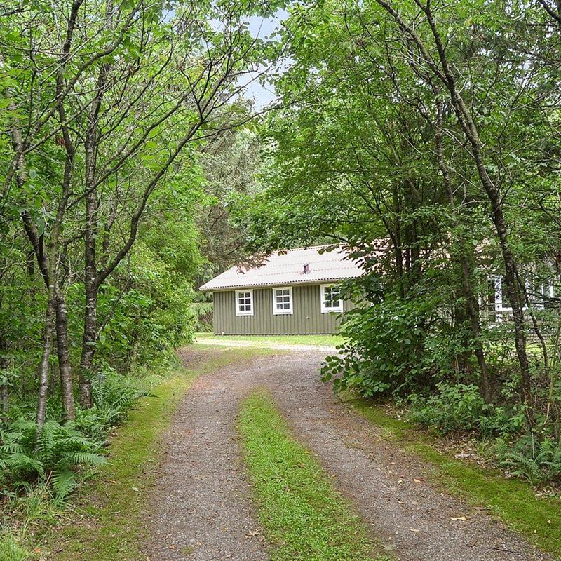Sommerhus - 8 personer -  - Sydmarken - Arrild - 6520 - Toftlund
