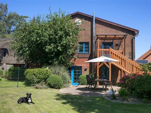 Ferieleilighet - 2 personer -  - Oberkoppel - 24395 - Gelting