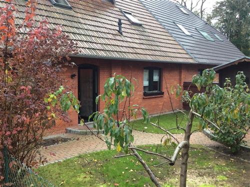 Ferienwohnung - 4 Personen -  - Neustrelitz - 17235