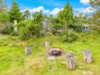 Billede 39