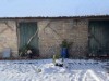 Bild 16
