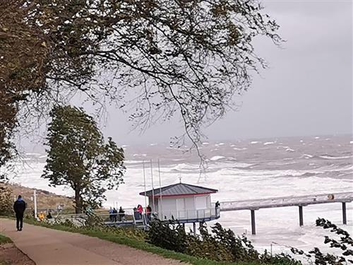 Ferielejlighed - 4 personer -  - Karlstr. - 17459 - Koserow