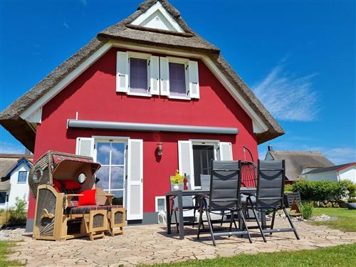 Sommerhus - 5 personer -  - De Poeler Drift - 23968 - Zierow