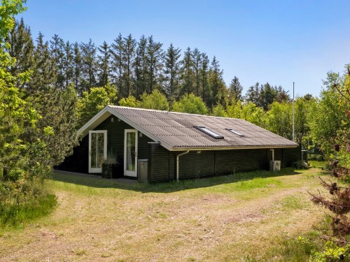 Ferienhaus - 6 Personen -  - Elvervej - Napstjärt - 9981 - Jerup