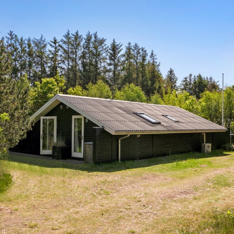 Ferienhaus - 6 Personen -  - Elvervej - Napstjärt - 9981 - Jerup