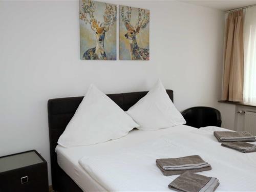 Holiday apartment - 2 persons -  - Busehofstraße - 45144 - Essen