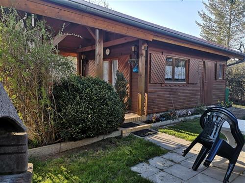 Holiday Home/Apartment - 5 persons -  - Am Anger - 17291 - Oberuckersee