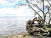 Bild 18