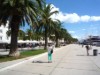 Bilde 24