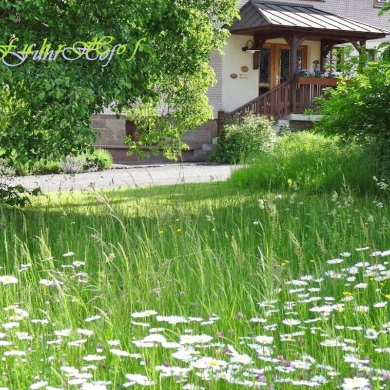 Sommerhus - 9 personer -  - 36341 - Lauterbach