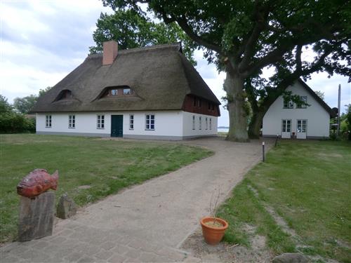 Holiday home - 6 persons -  - Zum Möwenort - 17440 - Lütow