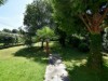 Bild 17
