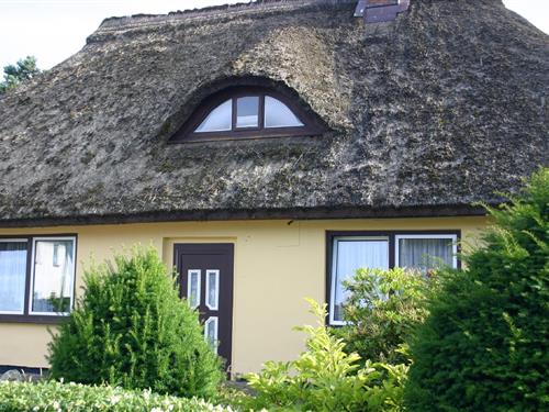 Ferielejlighed - 4 personer -  - Auf dem Branden - 18375 - Born A. Darß