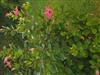 Bild 56 - Aussen