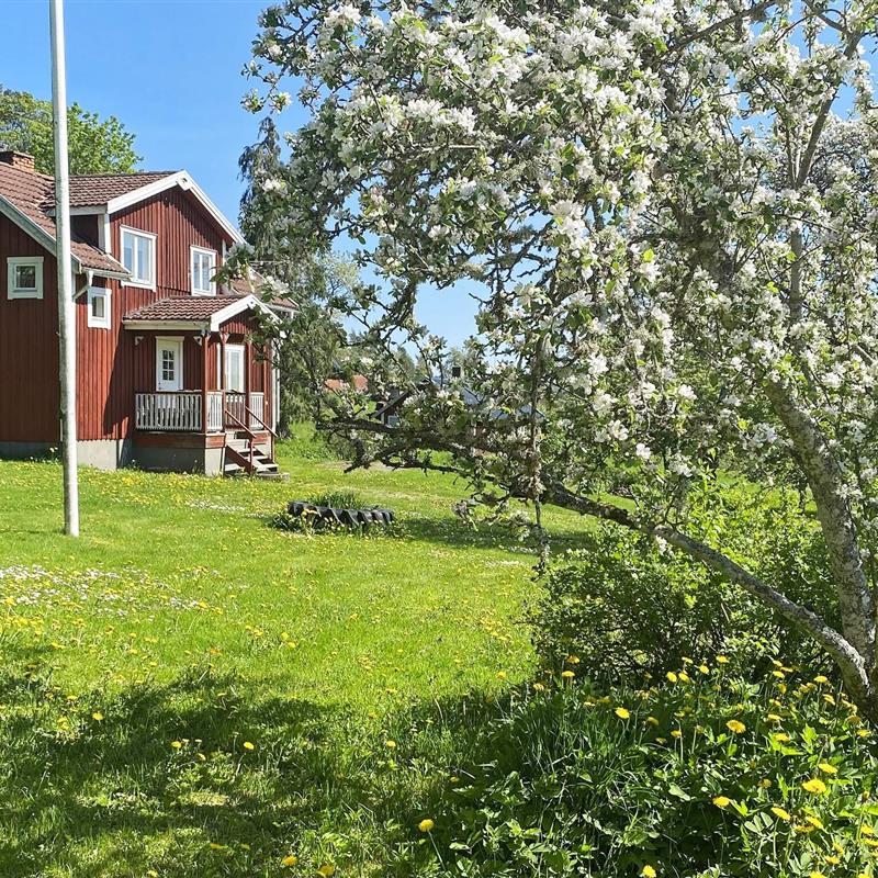  - 8 personer -  - Lilla Högaskog - Aneby - 57894 - Anneby