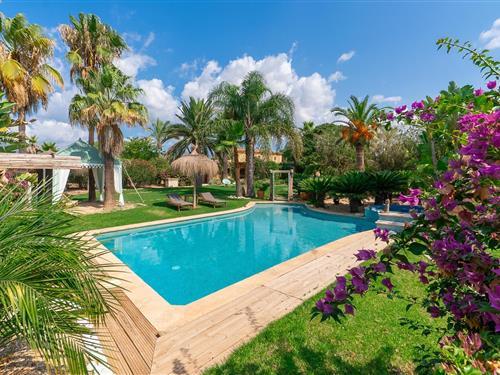 Holiday home - 4 persons -  - Polígon 4 Parcel - 07350 - Binissalem