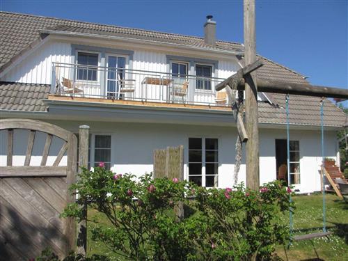 Ferienwohnung - 2 Personen -  - Norderende - 18565 - Vitte/Insel Hiddensee