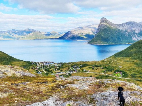  - 4 persons -  - Rødsandveien - Senja - 9392 - Stonglandseidet