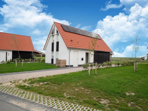 Holiday home - 8 persons -  - 4694PM - Scherpenisse