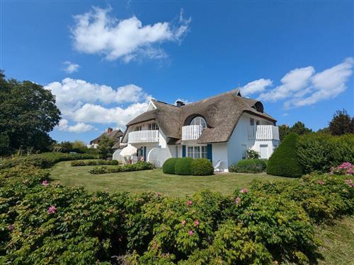 Ferielejlighed - 3 personer -  - Chausseestraße - 18375 - Born