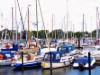 Billede 29