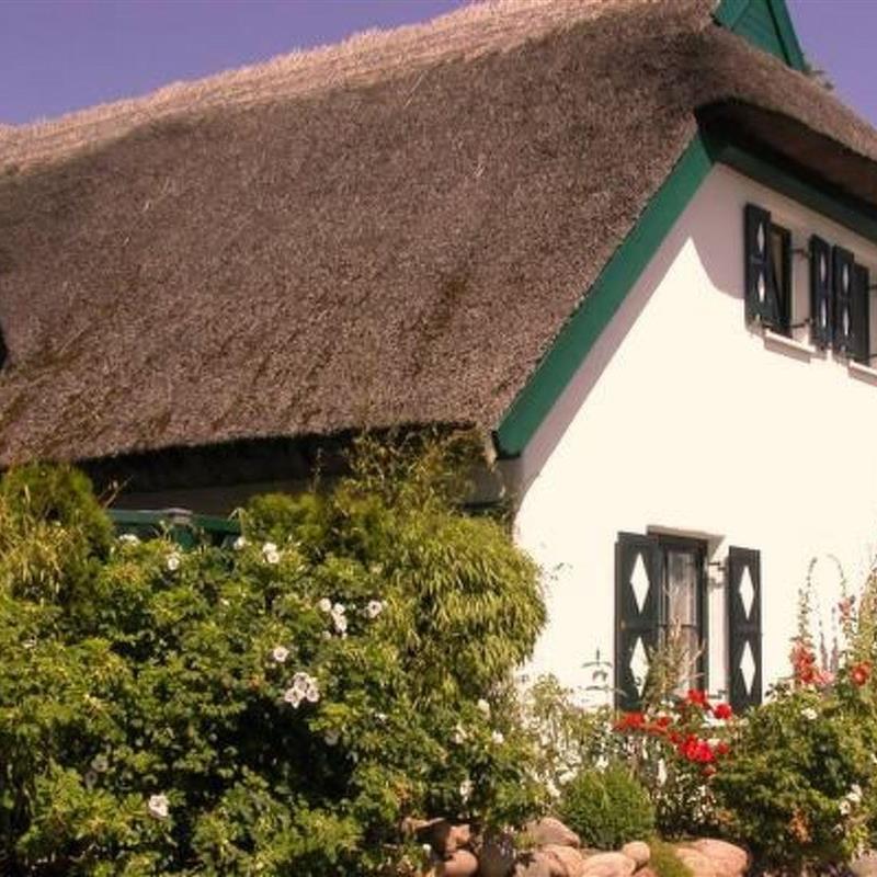 Sommerhus - 6 personer -  - Baabe - 18586