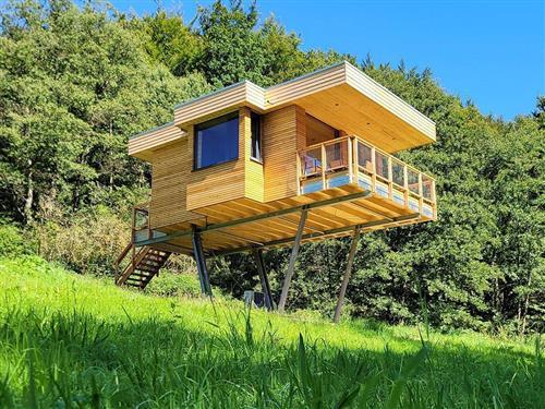 Ferieleilighet - 4 personer -  - In der Loh - 37170 - Uslar