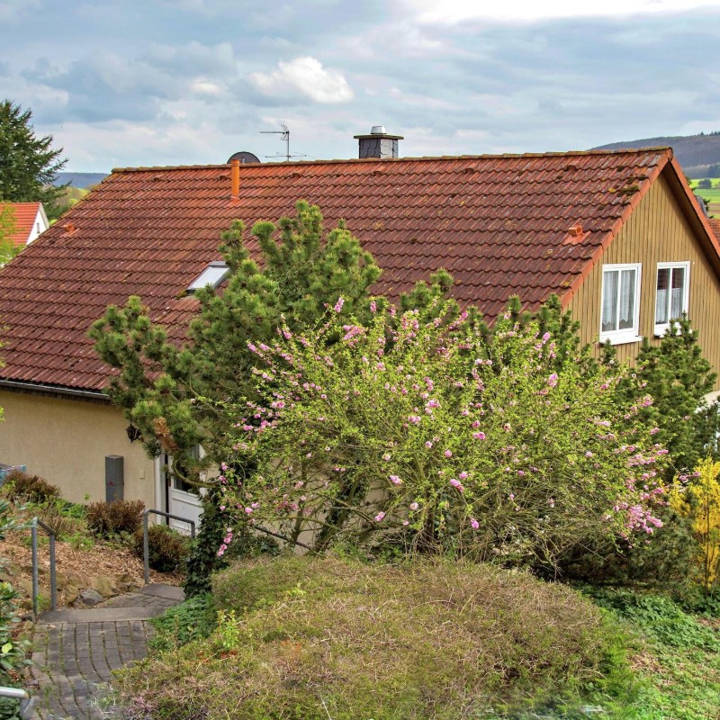 Sommerhus - 12 personer -  - 34576 - Homberg Ot Waßmuthshausen