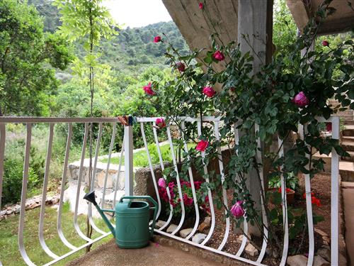 Holiday apartment - 4 persons -  - Prožurska Luka - 20224 - Prožurska Luka