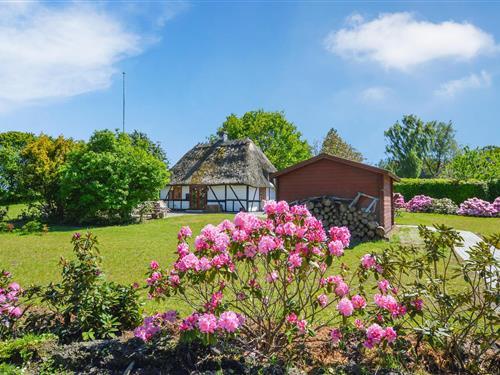 Sommerhus - 4 personer -  - Sørupvej - 4894 - Øster Ulslev