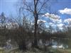 Bild 18 - Blick über's Wasser