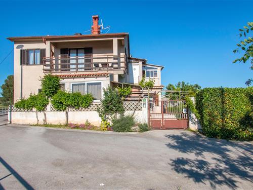 Holiday apartment - 6 persons -  - Sandaljska ulica - 52100 - Pula