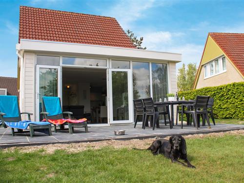 Ferienhaus - 6 Personen -  - De Vennen - 9541 LC - Vlagtwedde