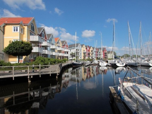 Ferienwohnung - 6 Personen -  - Am Holzteich - 17489 - Greifswald
