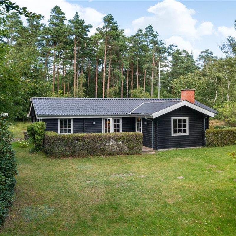 Ferienhaus - 4 Personen -  - Rådyrvej - Bunken Strand - 9982 - Aalbæk