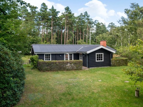 Sommerhus - 4 personer -  - Rådyrvej - Bunken Strand - 9982 - Aalbæk