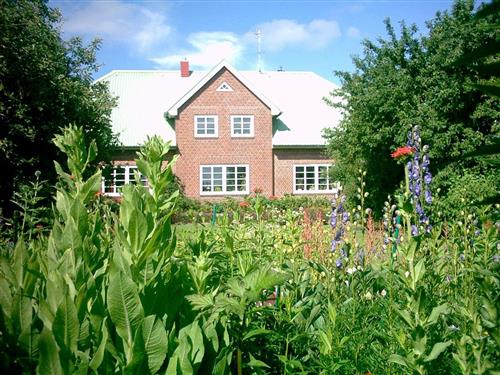 Ferielejlighed - 2 personer -  - Sönke-Nissen-Koog - 25821 - Reußenköge