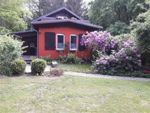 Ferielejlighed - 4 personer -  - Tiegen - 29614 - Soltau