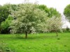 Bilde 26