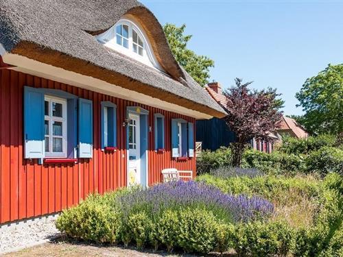 Sommerhus - 6 personer -  - Bäckergang - 18375 - Born