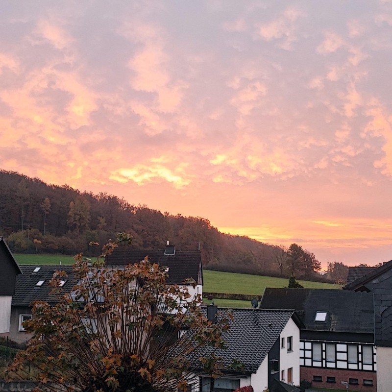 Ferielejlighed - 4 personer -  - Bergenrot - 59823 - Arnsberg
