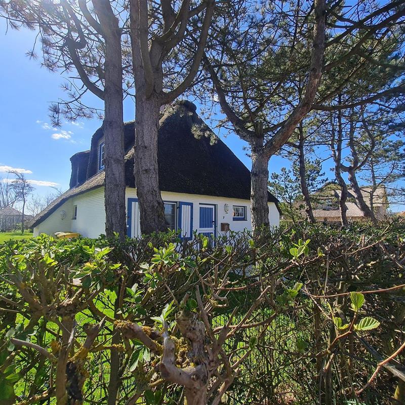 Sommerhus - 6 personer -  - Gräftendiek - 25826 - St. Peter-Ording